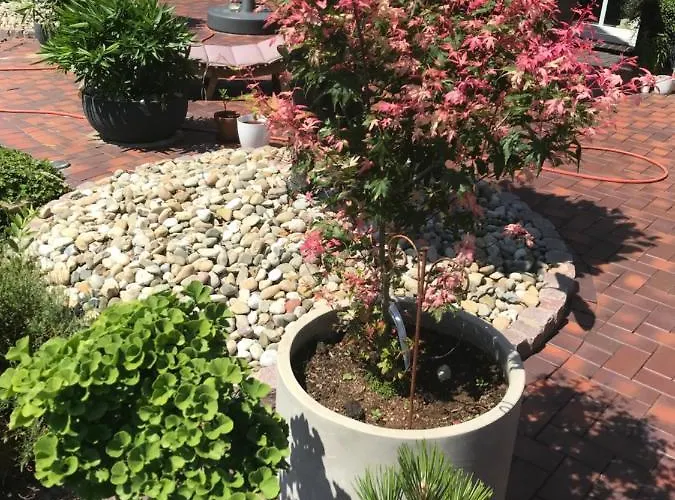 Ferienzimmer Claudia * Surwold